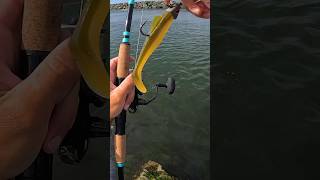 What Happened To This Fish… Inlet Fishing on the Rocks surffishing stripedbass epic [upl. by Arika852]