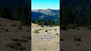 Scenic Road Durmitor National Park on a motorcycle [upl. by Willock]