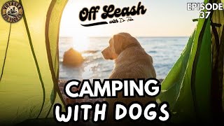 Camping With Dogs [upl. by Sellers]