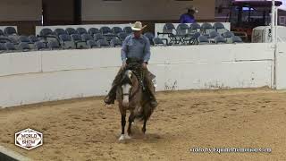 2023 APHA World Show Ranch Pleasure  Spooks A Shiner Too [upl. by Iramo]