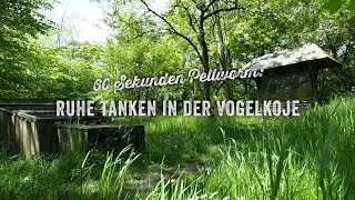 60 Sekunden Pellworm Ruhe tanken in der Vogelkoje [upl. by Dnomaid624]