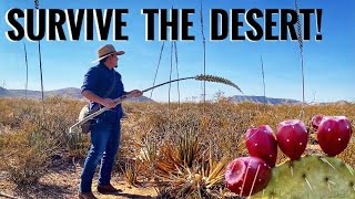 11 Desert Plants For Survival Bushcraft amp Primitive Skills Desert Bushcraft [upl. by Algie640]