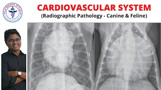 CardioVascular System  Radiology  Lecture 15 [upl. by Alial]