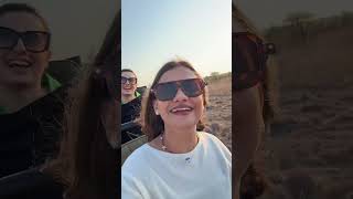 African safari South Africa travel lionking disney travelvlog safari travel shorts travel fit [upl. by Sallie916]