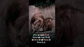 Best motivational status hindi  friendship status hindi 😍 shortfeed [upl. by Tomkin]