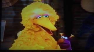 My Sesame Street Home Video Learning About Numbers Part 7 [upl. by Oribelle]