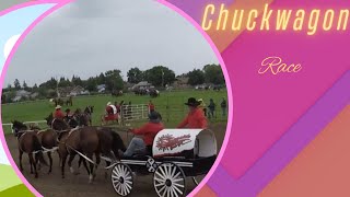 Chuckwagon Race [upl. by Sebbie842]