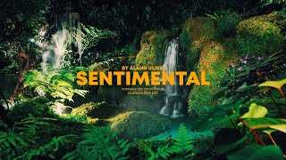 SENTIMENTAL Riddim  Reggae Roots Island Romantico Beat Instrumental  romantic Love Type  2023 [upl. by Annasoh]