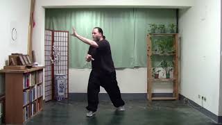 Southern Shaolin  Tiger Style Kung Fu [upl. by Ahsuas]