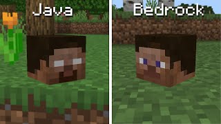 Minecraft Java Edition vs Bedrock Edition [upl. by Notlil93]