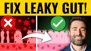 The 4 Most Effective Ways to Treat Leaky Gut Clinical Pearls [upl. by Leasa]