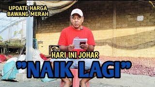 HARI INI JOHAR NAIK LAGI  UPDATE HARGA BAWANG MERAH BJM CHANNEL [upl. by Doralin]