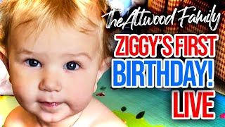 Ziggys 1st Birthday [upl. by Edmonds410]