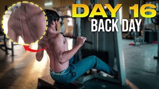 BACK DAY  DAY 16  BODY TRANSFORMATION [upl. by Hirsh]