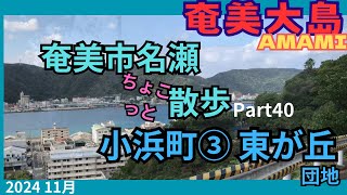 奄美大島 小浜町③東が丘団地 ちょこっと散歩Part40 AMAMI [upl. by Nima26]