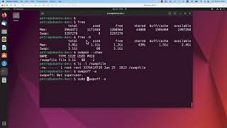 Managing swap memory in Linux [upl. by Ellyn]