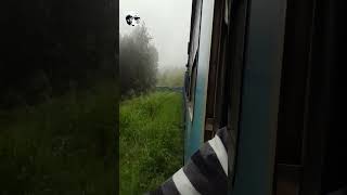 Tikiri Menike Nanu Oya Colombo Train Going Downhill 😍shorts train travel vlog trainloon [upl. by Celinka]