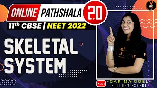 Skeletal System  Locomotion and Movement Class 11 L2  NEET 2022 Preparation  NEET Biology [upl. by Olegna]