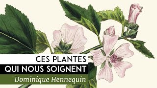 Ces plantes qui nous soignent  Documentaire de Dominique Hennequin 2014 [upl. by Ynatirb]