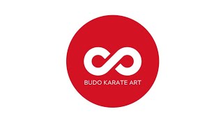 Budo karate Pan American Instructors seminar February 911 Los Angeles [upl. by Hoy930]