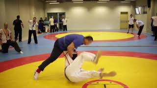 Chinese Wrestling Throws  Liu Zu Guang Shuai Jiao [upl. by Magena]