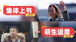 天天硬事5308期01 美国逾700名美国现任前任国安高官表态挺哈里斯，称只有哈里斯有三军统帅的气质和价值观 02 特朗普表示若11月败选不会第四次竞选总统，思考退意如何胜利 [upl. by Ayikur673]