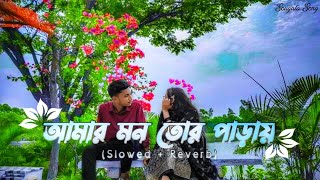 Amar Mon Tor Paray  Slowed  Reverb  Lofl Songs 🎧  Md Irfan  Bangla Songs [upl. by Ellimahs]