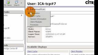 Citrix XenApp Delivery Services Console Servers Node Browsing [upl. by Salb191]