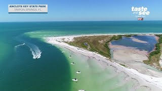 Anclote Key Preserve State Park in Tarpon Springs FL  Giant Adventure [upl. by Animrac]