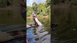 Big sea fish catching kerala big fish fishing fishing shorts viralvideo [upl. by Jerol]