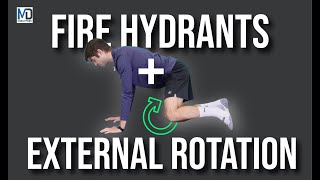 Master The Fire Hydrant Exercise With External Rotation For Maximum Stability And Strength [upl. by Jonina]