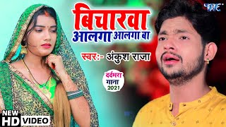 Video विचारवा अलगा अलगा बा  अंकुश राजा का सबसे हिट गाना वायरल New Song Bicharawa Alga Alga Ba [upl. by Esinaj]