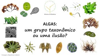 Vídeo 05  Algas um grupo taxonômico ou uma ilusão [upl. by Sitoeht434]