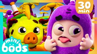 Muddy Oinker Rescue  Minibods  Mini Oddbods  Baby Oddbods  Funny Cartoons For Kids [upl. by Iharas]