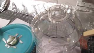 Make a DIY Mosquito Attractant Trap with ONLY WATER  YES just WATER  Part  2 [upl. by Adlecirg]