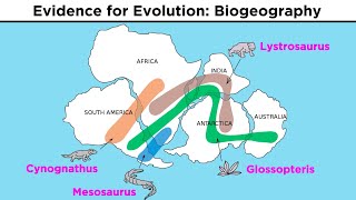 The Evolution of Populations Natural Selection Genetic Drift and Gene Flow [upl. by Donny503]