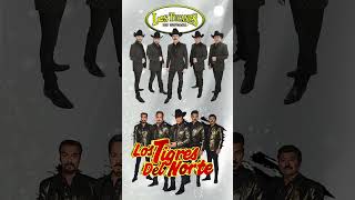 Los Tucanes De Tijuana Los Tigres Del Norte Grupo Exterminador Puros Corridos mp4 [upl. by Nottnerb]