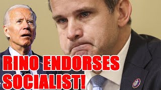 FRAUDULENT quotConservativequot Adam Kinzinger ENDORSES Joe Biden to make your lives WORSE [upl. by Rehc744]