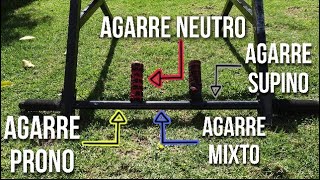 AGARRES en DOMINADAS ¿Qué MÚSCULOS Trabajas con cada Agarre ¿Cuál hacer según tu caso tipos [upl. by Hadwyn]