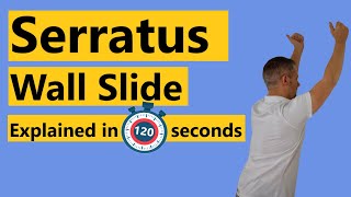 Serratus Wall Slide Exercises [upl. by Downing409]