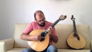 Ricardo J Martins  Antonio Vivaldi  Spring 1st Movement  Allegro Cover  Guitarra Portuguesa [upl. by Atahs]