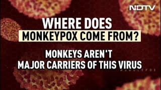 Monkeypox Spreading In Europe US All You Need To Know [upl. by Zipah]