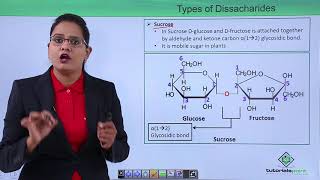 Biomolecules  Oligosaccharides [upl. by Caryl527]