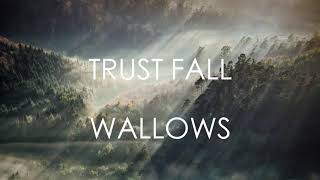 Trust Fall  Wallows LYRICS [upl. by Leo]