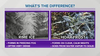 WEATHER LAB Whats the difference between rime ice and hoar frost [upl. by Larina]