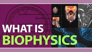 What is Biophysics  Applications of Biophysics  Examples of Biophysics  Physics Concepts [upl. by Clawson715]