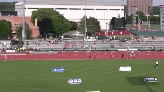 2014 OHSAA State Finals  4x400m Boys [upl. by Marsh]