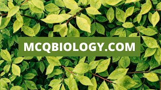 MCQ Biology  Biology Multiple Choice Questions and Answers  Life Science MCQs [upl. by Rancell981]