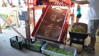 Small Scale Hop Harvester  Bine 3060 [upl. by Sunda924]