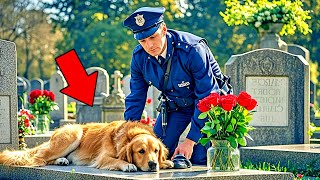 Chien Visite une Tombe Pendant 3 ans un Policier l’ouvre et ce quil Découvre est Surprenant [upl. by Nahpets]